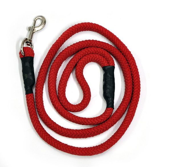 Correa Roja
