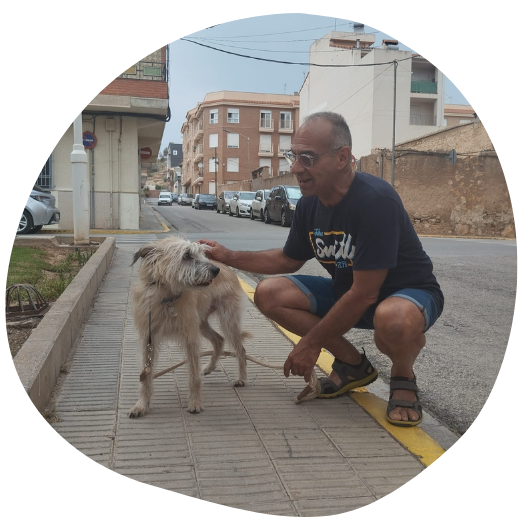 doggy bond adiestrar perros alicante